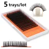 TDANCE classique cils 5 plateaux/Lot Faux vison cils individuels C/D naturel Premium Flase cils pour Extension de cils russe