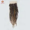 Perruques bouclées à reflets Pixie Curl Bundles avec fermeture Funmi cheveux fermeture à lacets transparente avec faisceaux de cheveux humains brésiliens Remy cheveux