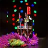 Engångskoppar sugrör 24 st mardi gras papper färgglad ring suministros para fiestas karneval parti