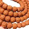 Strand stor storlek rudraksha 15mm full kött drakskala textur bodhi pärlor armband