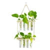 Vases 2 Tiered Test Tube Hydroponic Plant Propagator Propagation Stations