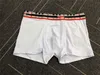 Mens Designer Boxers 2024 Brands Underpants Sexy Classic Mens Boxer Casual Shorts Underwear Breathable Cotton Underwears
