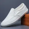 Skor Summer Canvas Shoes Male 2023 Ny platt botten Canvas Shoes Men's Sports Casual Board Shoes For Men Little White Shoes Sneakers