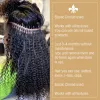 Perucas 100g 1pc afro bloqueios retos bloqueios humanos Extensões de cabelo humano para tranças de cabelo brasileiro de cabelo cinza Brasil