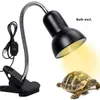 Desk Lamps Clip on Lamp Portable Clamp On Light Fixture, E27, Dimmable Flexible Goose Neck for Indoor Plants, Tortoise Aquarium, Home Lighting Non-waterproof Bulb Excl.