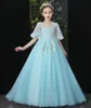 Sweet Baby Blue Tulle/Organza Sleeves Applique Pärlor Flower Girl Dress Girl's Pageant Dresses Party/Birthday Dresses Girl's Skirt Custom SZ 2-12 D319044