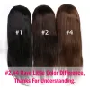 Wigs Chocolate Brown Lace Closure Wigs Human Hair 4x4 Lace Closure Wig Straight Brazilian Wigs For Women Dorisy Remy Hair #2 #4