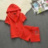 Sets for Women 2 Pieces Summer Cotton Short Sleeve Hooded Top and Shorts Set New In Matching Sets