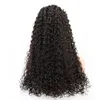 글루없는 곱슬 웨이브 레이스 프론트 가발 프리 풋 처녀 인간 머리 가발 흑인 여성을위한 미리 퍼진 레이스 클로저 가발