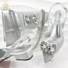 Dress Shoes Nigeria Fashion Evening And Bag Set African Crystal Comfortable Capacity Commuter Women's