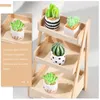 Decoratieve Bloemen Kunstmatige Cactus Kleine Plantenpotten Beeldjes Mini Hars Decor Potplanten Thuis