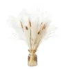 Fleurs décoratives 45 cm naturel séché Pampas herbe Bouquet Boho décor à la maison Phragmites pour les décorations de mariage