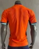 MEMPHIS 25 Netherlands 24 25 Holland Jersey JONG VIRGIL DUMFRIES BERGVIJN Shirt 2024 KLAASSEN BLIND DE LIGT fans player version Men Kids Kit Football Shirt