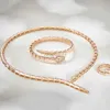 Bracelet Designer Luxe Dîner Bijoux Dames Cubique Semelle Zircon Serpent Collier Avec Collier Étroit Bracelet Anneau 240319