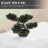 Kwiaty dekoracyjne symulowane bonsai małe biurko ozdoby Plant Fałszywe dekoracje sztuczne drzewo Realistyczne plastikowe rośliny domowe