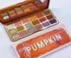 Newest Christmas Pumpkin Eyeshadow 18 Colors Classic Spice Eye Shadow Palette Makeup Matte Shimmer Eyeshadow High Quality3835874