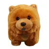 1pc 30cm kawaii kabarık chow chow peluş oyuncak sevimli hayat benzeri köpek bebek bebek kızlar için yumuşak oyuncaklar doğum günü hediyeleri 240315