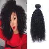 Wątwa Brazylijskie dziewicze ludzkie włosy Kinky Curly nieprzetworzone włosy Remy Weves Double Wefts 100G/Poledel Hair Wefts