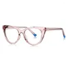 Sunglasses DOISYER Manufacturer Selling Cat Eye Optical Frame Blue Light Blocking Glasses TR90 For Men Women Multi Color Eyewear