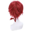 Perucas sintéticas L-email peruca de cabelo sintético New Ranma 1/2 Ranma Saotome Cosplay Wigs 25cm Vermelho Borgonha Curto Resistente ao Calor Perucas Cosplay Wig 240328 240327