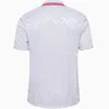 23 24 24 Denmark Eriksen piłka nożna drużyna narodowa Dolberg Delaney Braithwaite 2023 2024 WASS Jensen Kjaer Hojlund Olsen Hojbjerg Men Kit Socks Football Shirts