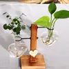 Vazolar vintage saksı şeffaf vazo teraryum hidroponik bitki hidroponik bitkiler için ahşap stand bonsai dekor