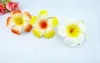 Saç Aksesuarları 50 Karışık Renkli Köpük Hawaii Plumeria Çiçek Frangipani Gelin Klibi 6cm