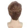 Synthetic Wigs Lace Wigs Short Men Wigs for Straight Synthetic Layer Hair For Man Male Guy Daily Cosplay Party Anime Costume Male Wigs 240328 240327