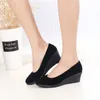 HBP No-Brand Mayor Mayor Mayor y Autumn Ladies Shoes Working Shoes Ladies Black Formal High Wedge Heel en stock