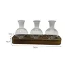 Vases Hydroponic Vase Flower Stem Bunch Storage Desktop Glass Planter Plant For Patio Shelf Living Room