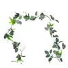 Decoratieve bloemen Eenvoudig op te hangen slinger Kunstmatige eucalyptus Elegante roos voor binnen