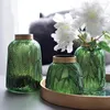 Vasos nórdico vaso de vidro verde hidropônico vaso de flores cesta decoração para casa pf90311
