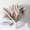 Fleurs décoratives 45 cm naturel séché Pampas herbe Bouquet Boho décor à la maison Phragmites pour les décorations de mariage