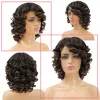 Pruiken XCCOCO Kort Krullend Afro Pruik met Pony Donkerbruin Zwart Haar Synthetische Pruiken voor Vrouwen Hittebestendige Vezel 14 INCH Losse Golf Pruik