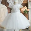 15Y Baby Girls Dress para bordado de encaje Lindo 1er cumpleaños Bautismo Vestidos rosados ​​Vestido de fiesta de boda para niños Niña pequeña 240311