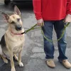 Colliers pour chiens, 1 pièce, laisse d'entraînement élastique en nylon réglable (kaki)