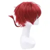 Parrucche sintetiche Parrucca L-email Capelli sintetici Nuovo Ranma 1/2 Ranma Saotome Parrucche cosplay 25 cm Rosso Borgogna Corto Parrucca cosplay Perucas resistente al calore 240328 240327