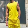 Men's Tank Tops New Casual Solid Color Tank Tops Men Two Piece Sets Summer Fashion Sleeveless O Neck Vest And Shorts Mens Suits Leisure Outfits L240319