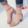 HBP Non-Brand Summer new style heel shoes womens shoes thick with open toe suede sexy word buckle with womens sandals shoes in stock wholesa