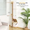 Grand griffoir monté sur arbre pour chats d'intérieur, tour d'escalade, meubles muraux en bois pour chats, 73 pouces