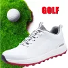 Chaussures Marque Chaussures de formation de golf professionnel pour hommes.