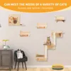 Miuzmore Pine Cat Wall Frame for Climbing ، مجموعة من 5 أثاث ، عجلات Shees ، المنزل ، سلم Sisal Post ، الخطوات ومنصة السفر