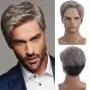 Perruques Aosiwig synthétique courte perruque masculine droite cheveux naturels avec frange gris noir Cosplay quotidien toupet Anime perruques pour hommes