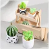 Decoratieve Bloemen Kunstmatige Cactus Kleine Plantenpotten Beeldjes Mini Hars Decor Potplanten Thuis