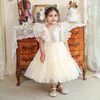 Girl Dresses Toddler Sequin Bow Dress Baptism 1st Birthday Princess For Baby Girls Clothe Tutu Lace Wedding Pageant