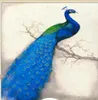 Tam elmas boyama diy tavus kuşu boyama ev dekorasyon duvar sanat dekor diy parlayan dinmon boyası tuval üzerinde 40x58216228