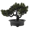 Dekorativa blommor Krukväxter Simulerade bonsai konstgjorda växter Desp Display Fake Tree Plastic Small