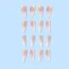 Falska naglar lång längd Drop-Shaped Fake Fashion Cusp Head Full Cover Nail Tips Wearable Manicure Women