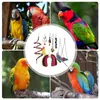 Other Bird Supplies Swings For Parakeets 7pcs Colorful Pet Birds Bell Toy Climbing Chew Climb Exercise Rest Budgerigar Conures