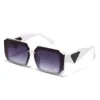 New Fashion Sunglasses Box Show Light Luxury Pra Same Instagram Popular Trendy 4oyo